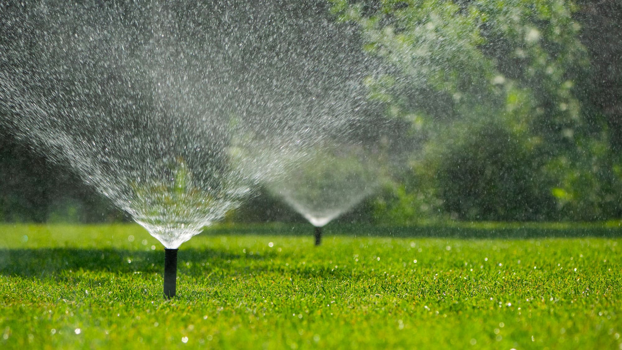 Sprinklers Multiple automatic sprinklers watering the lush green lawn on a sunny day